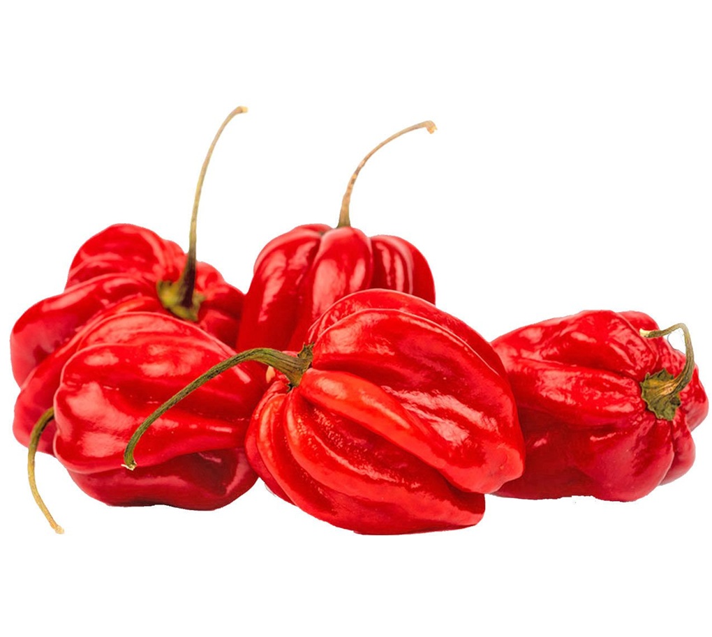 Habanero Biber Kırmızı Tohumu